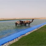 Lake-at-Al-Ain2