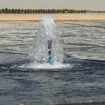 Al Qudra lakes